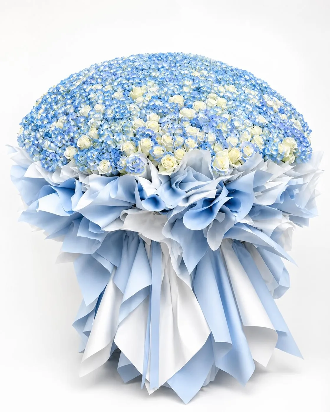 Imperial Bloom