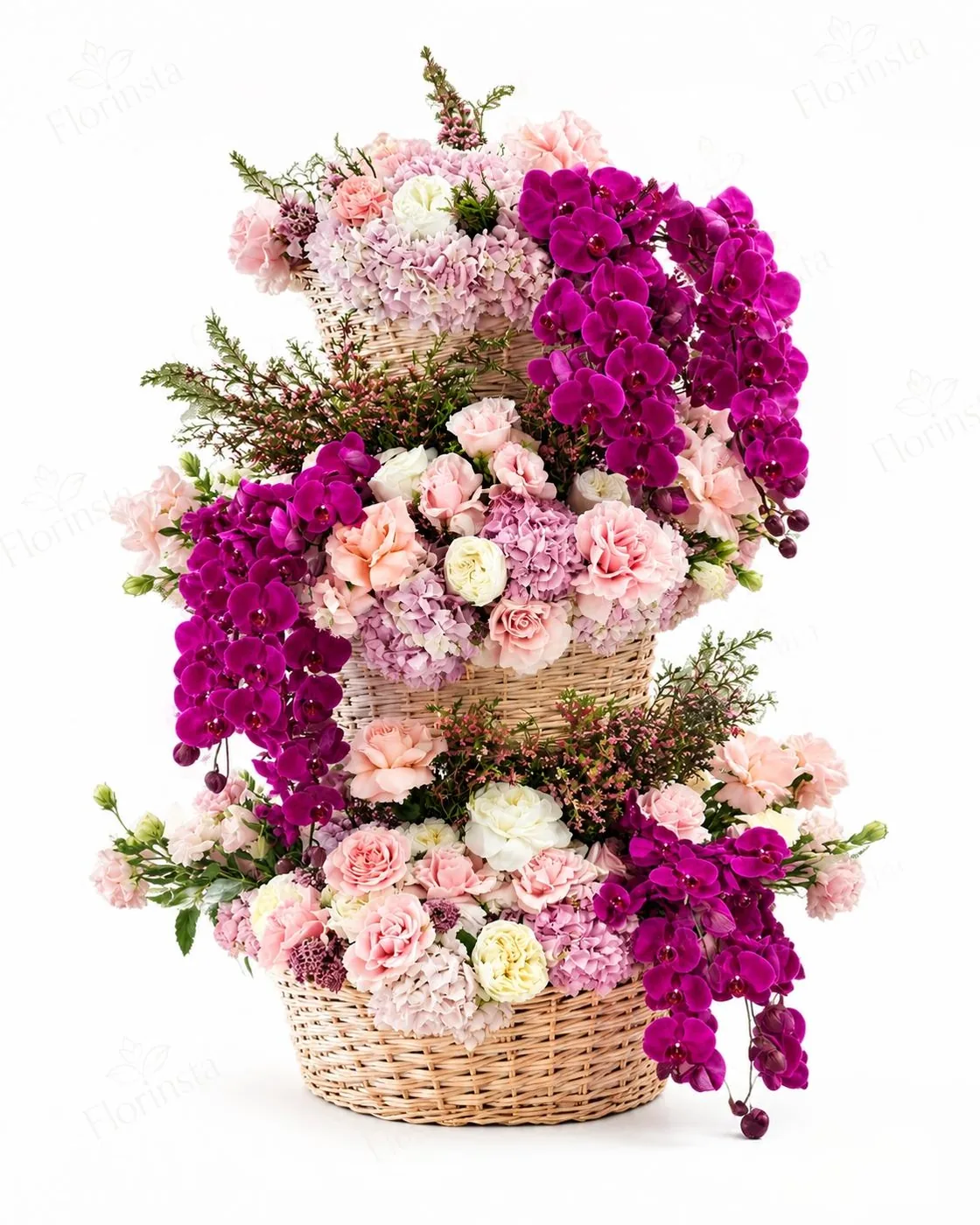 Royal Orchid Cascade