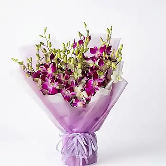 Orchid Symphony